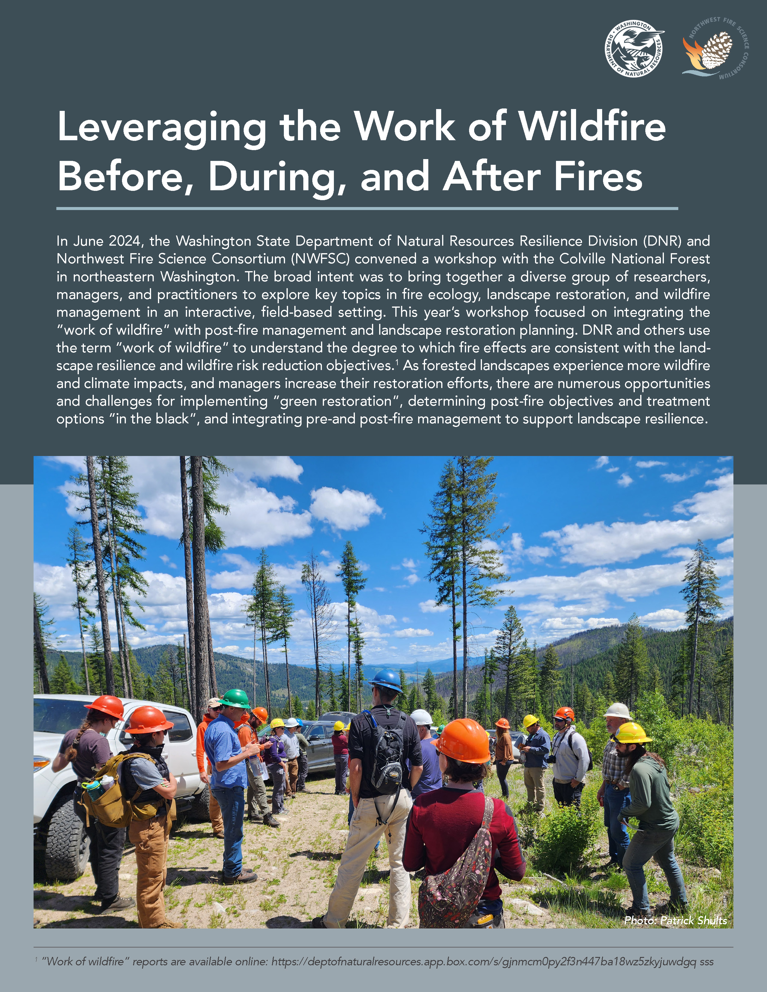 Work of Wildfire workshop report cover