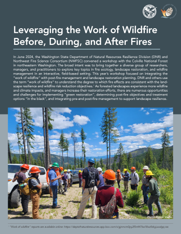 Cover of Work of Wildfire June 2024 report