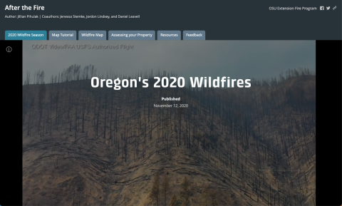 screen shot of After the Fire storymap